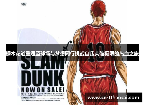 樱木花道重返篮球场与梦想同行挑战自我突破极限的热血之旅