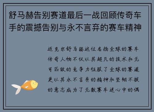 舒马赫告别赛道最后一战回顾传奇车手的震撼告别与永不言弃的赛车精神